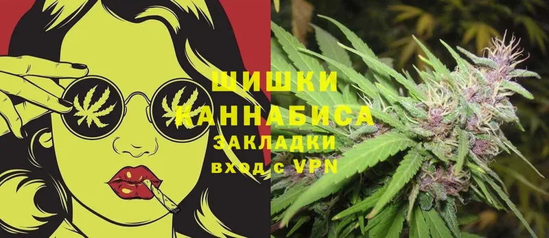 купить наркоту  Волосово  omg как войти  Бошки марихуана OG Kush 